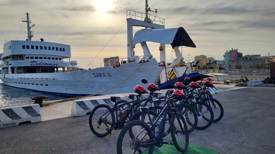From Porto Torres: E-Bike Rental - Who will enjoy this rental most
