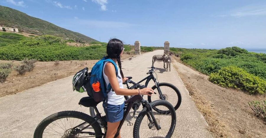 From Porto Torres: E-Bike Rental - Riding Asinara at your own speed