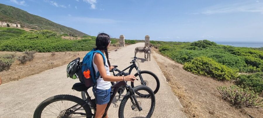 From Porto Torres: E-Bike Rental - The ferry to Cala Reale is a separate part of the plan