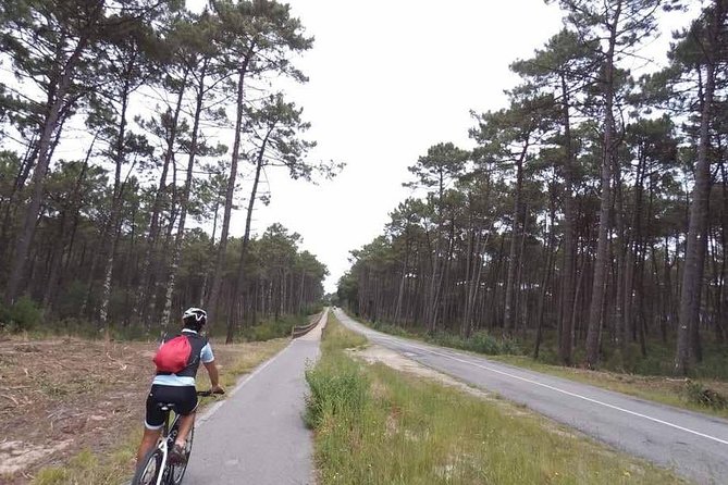 From Porto with view to Gaia: Private Bike Tour #DuckSideOfPorto - Miragaia and the western riverfront