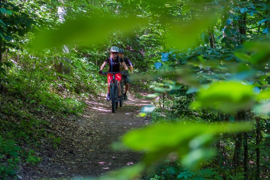 From Prague: E-Mountain Biking Trip to the Bohemian Paradise - The guide and small-group experience