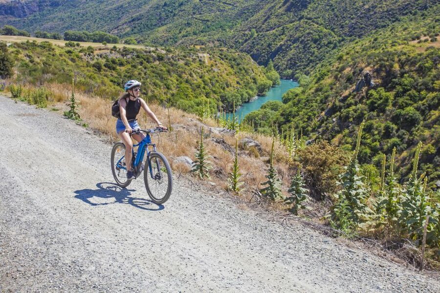 From Queenstown: 'Valley of the Vines' Wine and Bike Tour - Key points at a glance