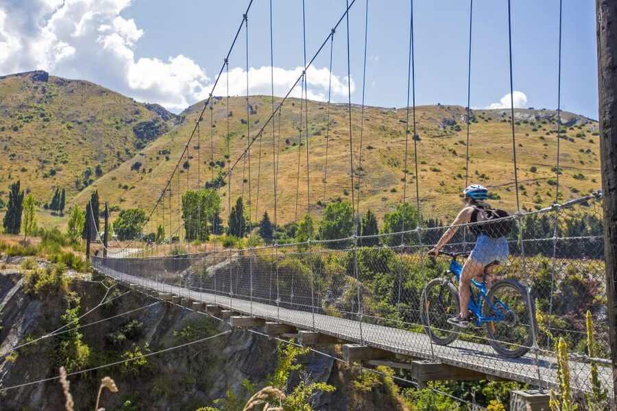 From Queenstown: 'Valley of the Vines' Wine and Bike Tour - Brunch at AB Bakeries, then wine in Gibbston