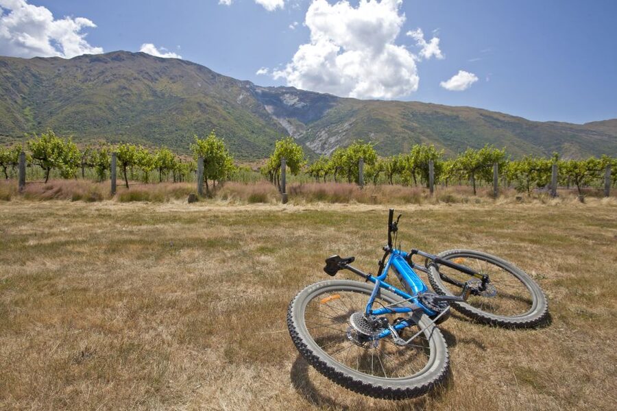 From Queenstown: 'Valley of the Vines' Wine and Bike Tour - Is $88 good value?