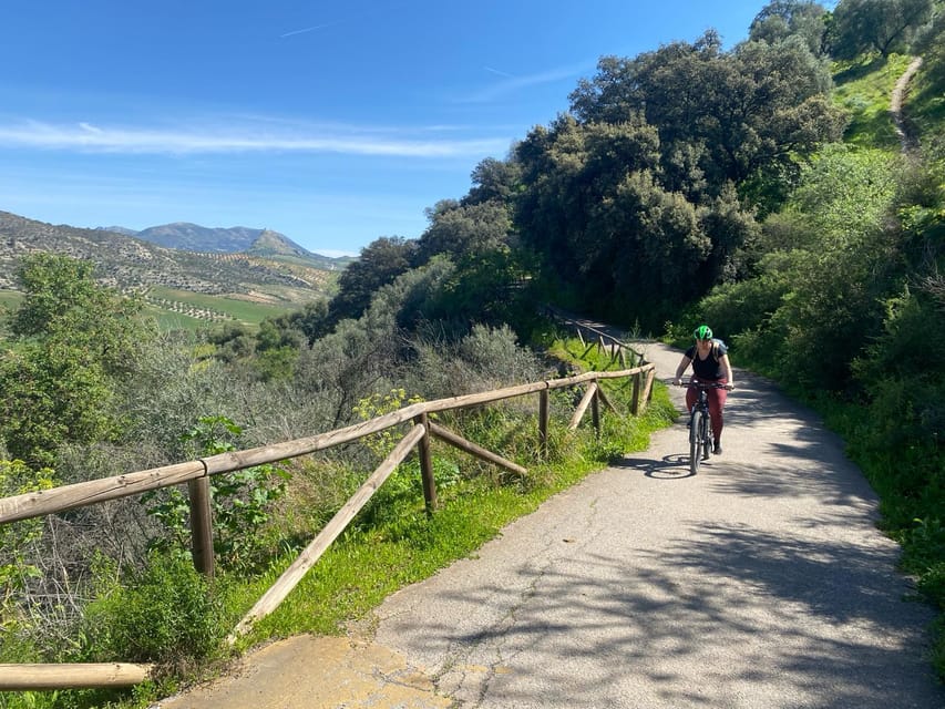 From Ronda: Via Verde de la Sierra Easy Cycling Tour - Who should book this ride?