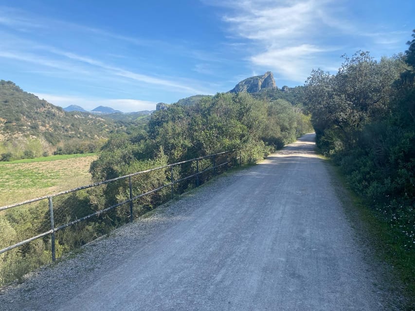 From Ronda: Via Verde de la Sierra Easy Cycling Tour - What the cycling feels like over 3.5 hours
