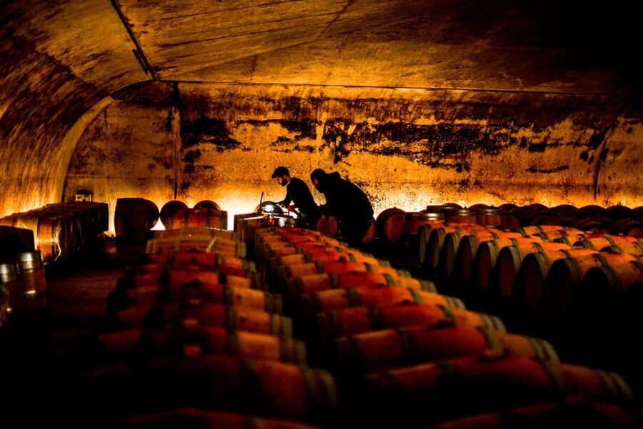 From Saint-Emilion : Half Day Electric Bike Tour - The second estate and its generous tasting