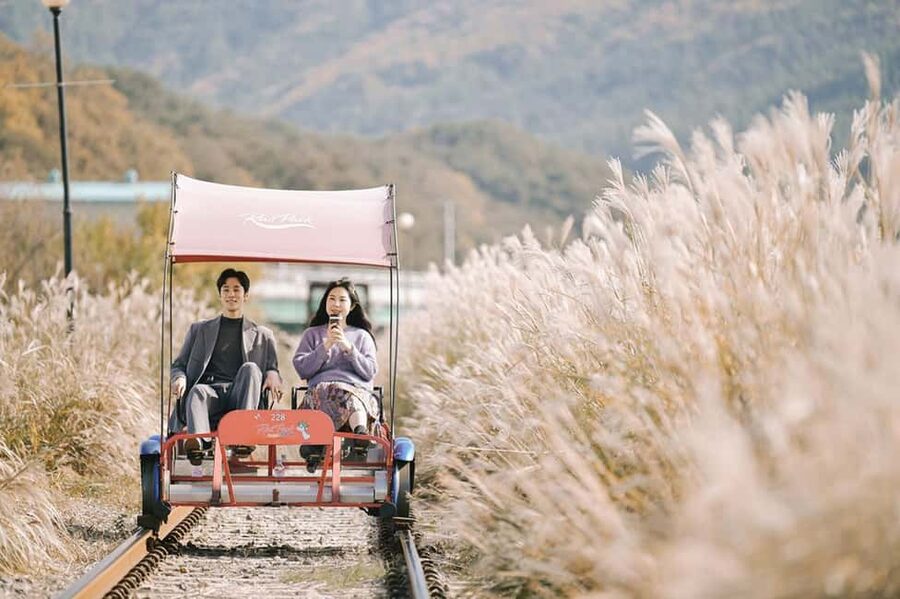 From Seoul: Nami Island, K-drama Garden & Rail Bike Day Tour - The day in five useful points