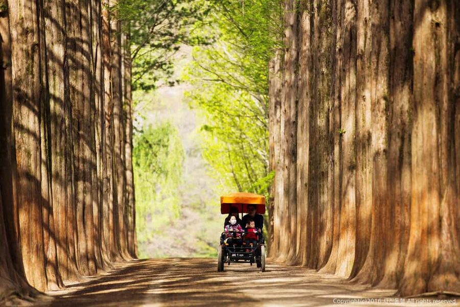 From Seoul: Nami Island, K-drama Garden & Rail Bike Day Tour - Final call: book it for variety and convenience