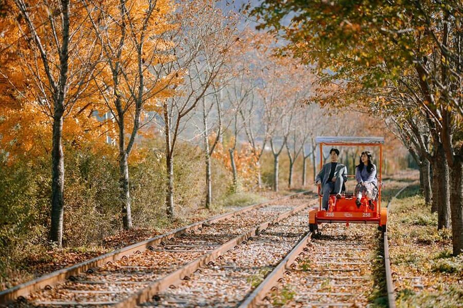 From Seoul: Nami Island, K-drama Garden & Rail Bike Day Tour - Nami Island: pretty paths with a K-drama connection