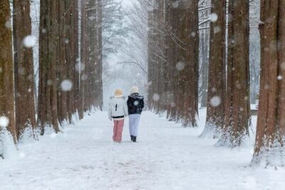 Nami Island, K-drama Garden & Rail Bike Day Tour