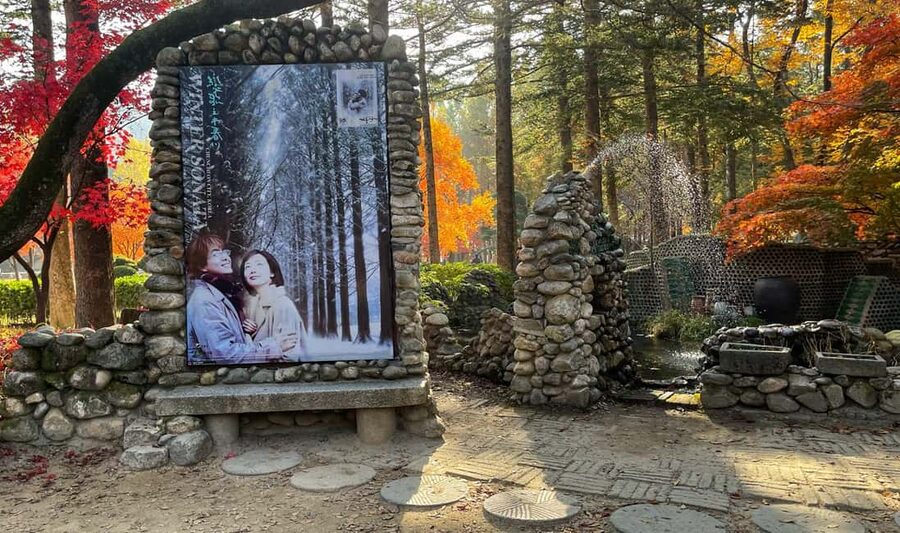 From Seoul: Nami Island, K-drama Garden & Rail Bike Day Tour - What the $61 price really gets you