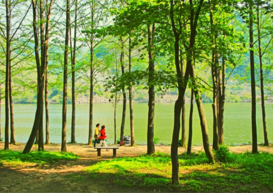 From Seoul: Nami Island, K-drama Garden & Rail Bike Day Tour - Who should book this experience?