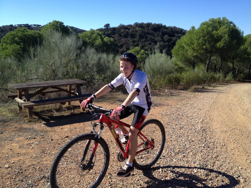 From Seville: Half-Day Guided Bike Trip to Italica - Who should book this ride?