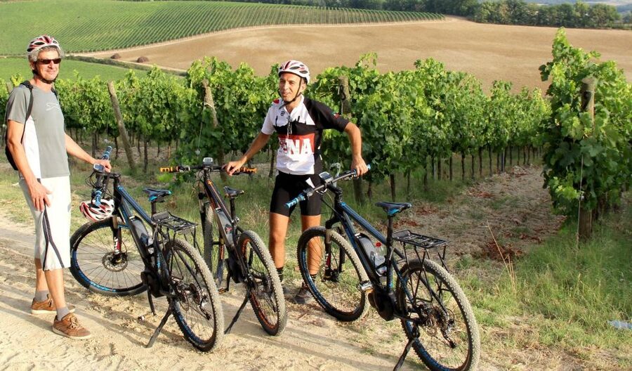 From Siena: Chianti Countryside E-Bike Tour w/ Lunch & Wine - Key points to know before booking