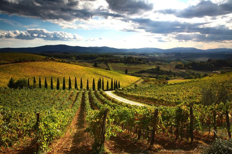 From Siena: Chianti Countryside E-Bike Tour w/ Lunch & Wine - A farm lunch with wine and olive oil