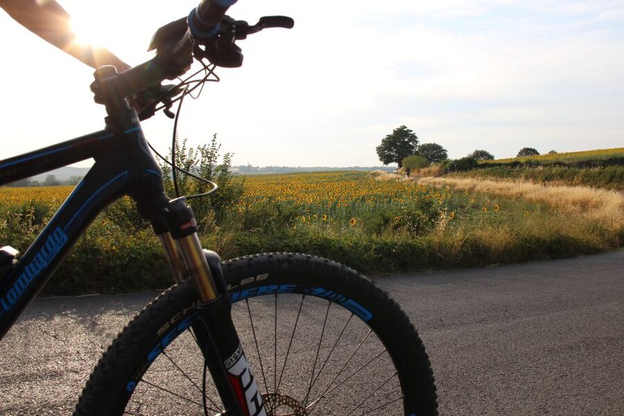From Siena: Chianti Countryside E-Bike Tour w/ Lunch & Wine - Is the $203.91 price good value?