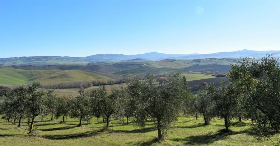 From Siena: Chianti Countryside E-Bike Tour w/ Lunch & Wine - Weather, fitness, and who should book