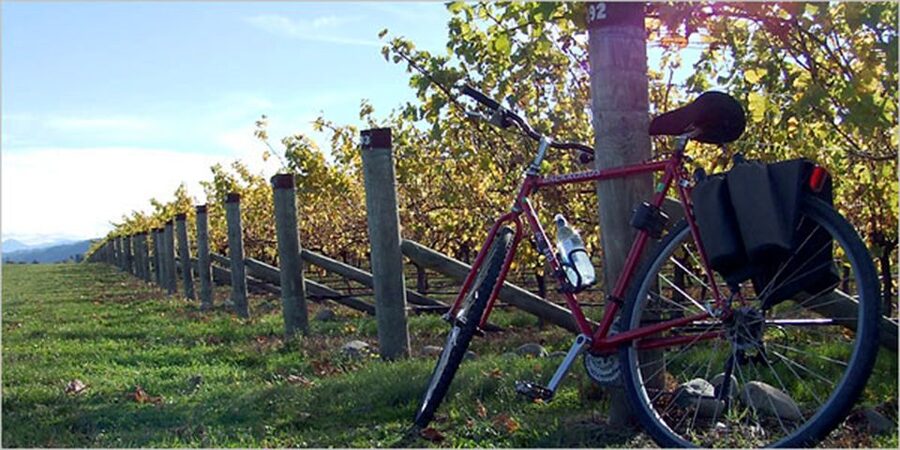From Siena: Chianti Countryside E-Bike Tour w/ Lunch & Wine - Meeting at Siena train station