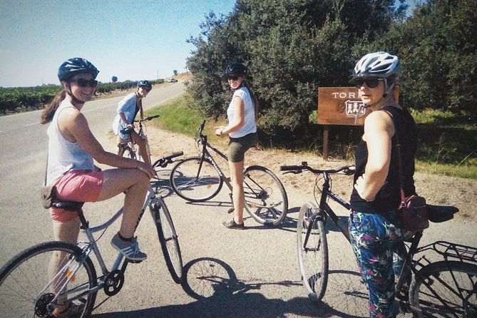 From Sitges: Bike Tour and Winery Visit with Free Hotel Pick Up. - What the $111.26 price buys you