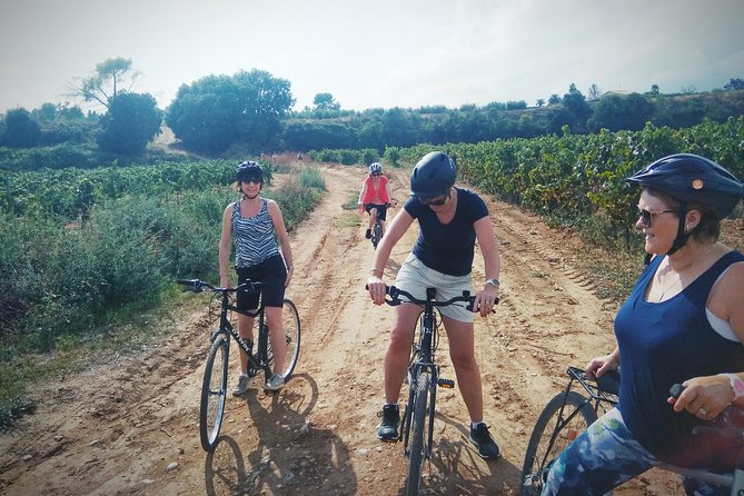 From Sitges: Bike Tour and Winery Visit with Free Hotel Pick Up. - Who should book this ride?