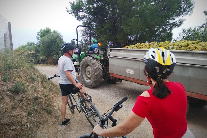 From Sitges: Bike Tour and Winery Visit with Free Hotel Pick Up. - A few practical tips before you go
