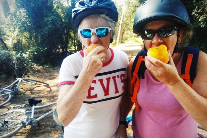 From Sitges: Bike Tour and Winery Visit with Free Hotel Pick Up. - Should you book the Sitges bike and winery tour?