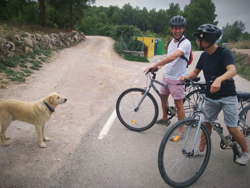 From Sitges: Cycling Tour with Winery visit and Tasting - Tasting three glasses of cava with local snacks