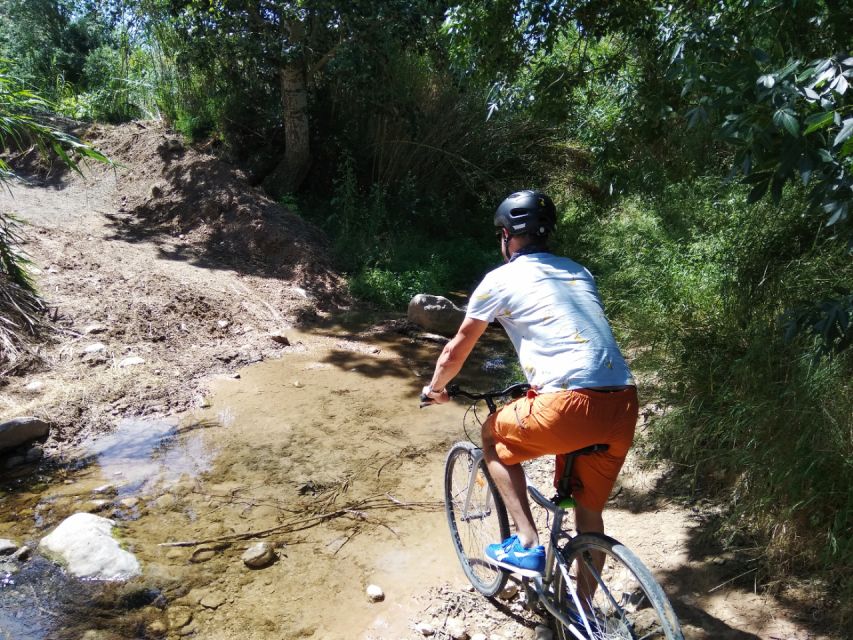 From Sitges: Paella Masterclass, Bike Ride and Winery Visit - Inside a winery with nine generations of family history