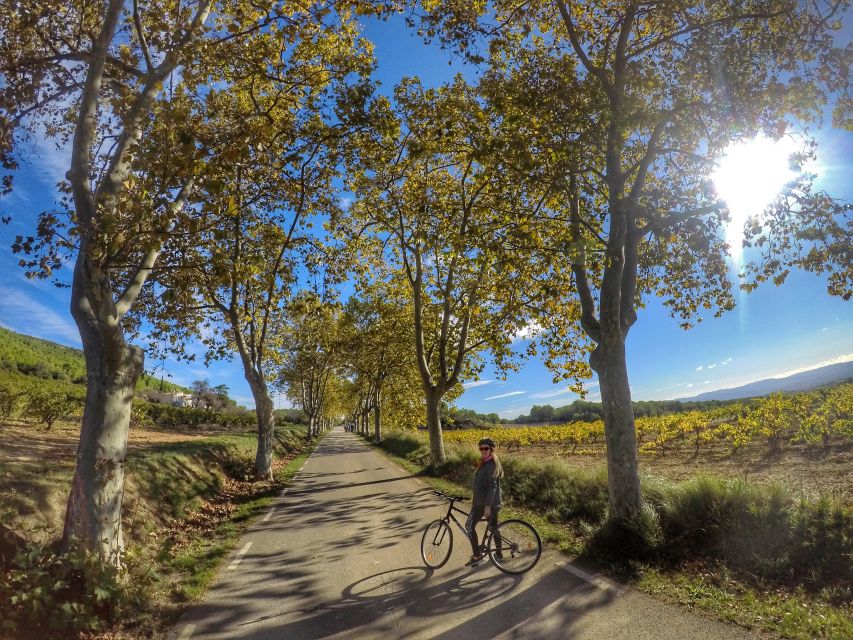 From Sitges: Paella Masterclass, Bike Ride and Winery Visit - Practical details worth knowing before you book