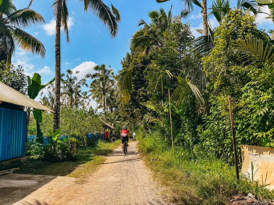 From Ubud: Downhill Bike Tour with Rice Terraces and Meal - What the road experience feels like
