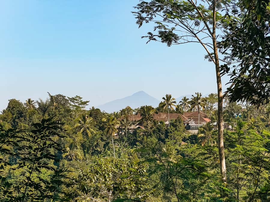 From Ubud: Downhill Bike Tour with Rice Terraces and Meal - Is $40 good value?