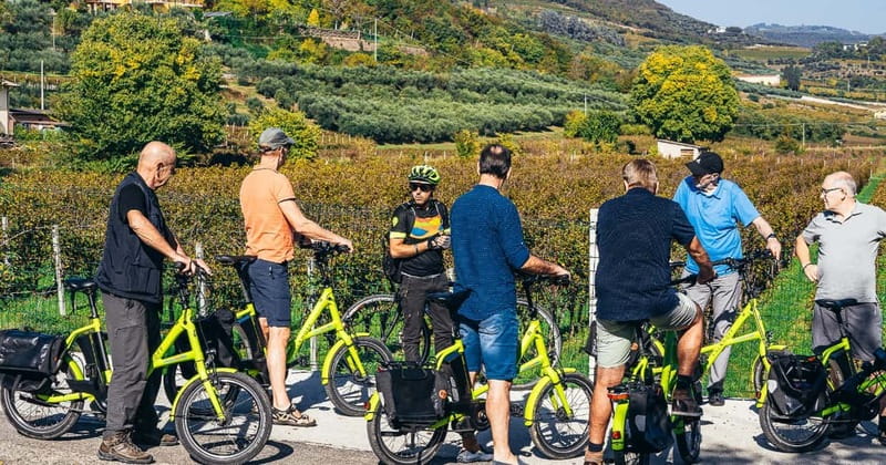 From Verona: Amarone Wine E-Bike Tour with Tasting - Amarone and the Roman roots of local wine