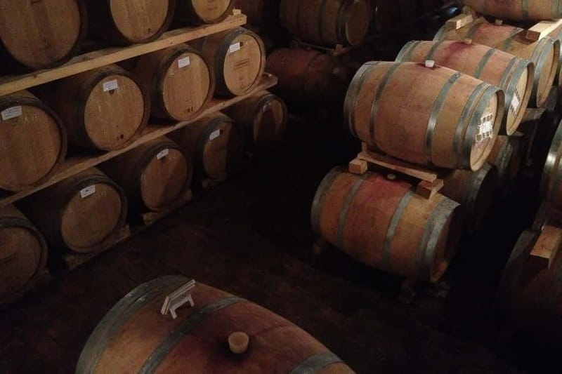 From Verona: Amarone Wine E-Bike Tour with Tasting - Why the Valpolicella hills are worth the effort