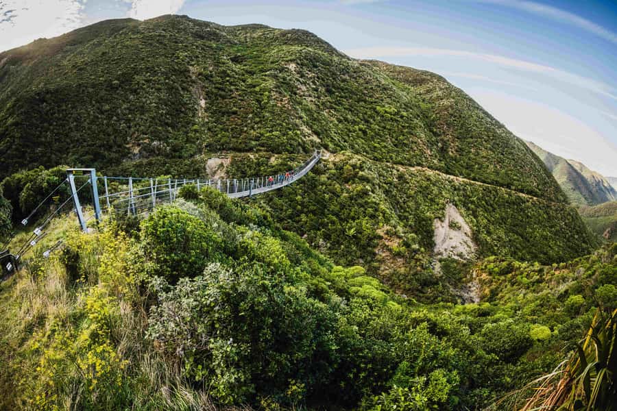 From Wellington: Remutaka Rail Trail eBike Tour - Key points to know before booking