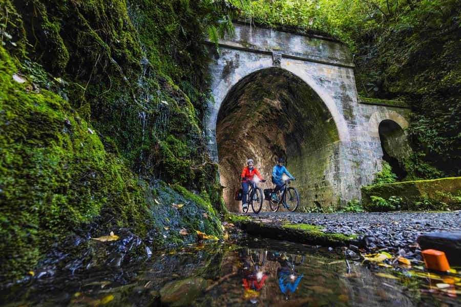 From Wellington: Remutaka Rail Trail eBike Tour - From Wellington Station to Kaitoke by shuttle