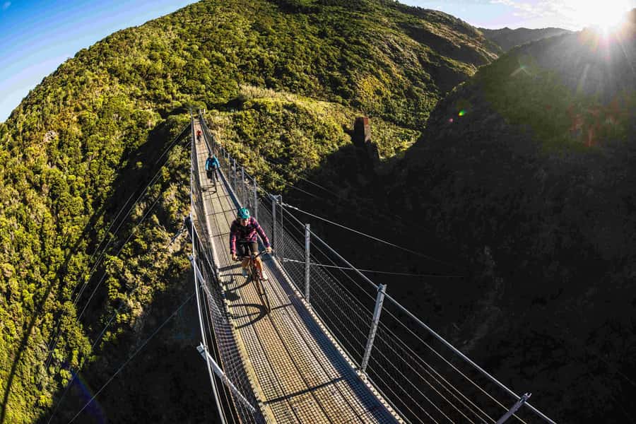 From Wellington: Remutaka Rail Trail eBike Tour - Headlights on inside the railway tunnels
