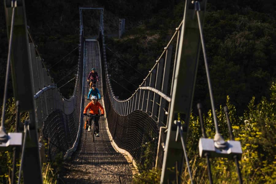 From Wellington: Remutaka Rail Trail eBike Tour - The 2:15pm shuttle back to Wellington