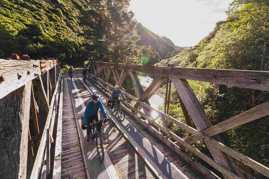 From Wellington: Remutaka Rail Trail eBike Tour - Is $131 good value?