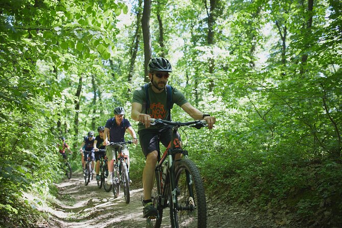 Fruška Gora Bike Tour - Riding the two-hour forest route