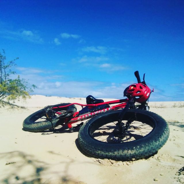 Fuerteventura: Explore the Area with a Bike Rental - Choosing between a mountain bike and an electric bike