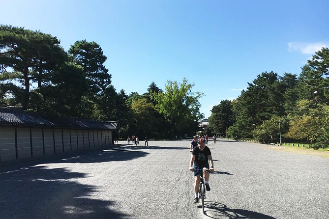 Full Day Biking Tour Exploring the Best of Kyoto - Why Biking Works So Well in Kyoto
