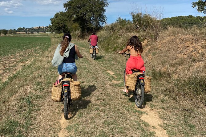 Full-Day Costa Brava and E-Bikes Guided Tour from Barcelona - What the $98.42 Price Buys You