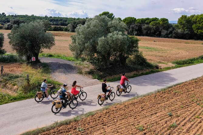 Full-Day Costa Brava and E-Bikes Guided Tour from Barcelona - Who Will Enjoy This Day Most