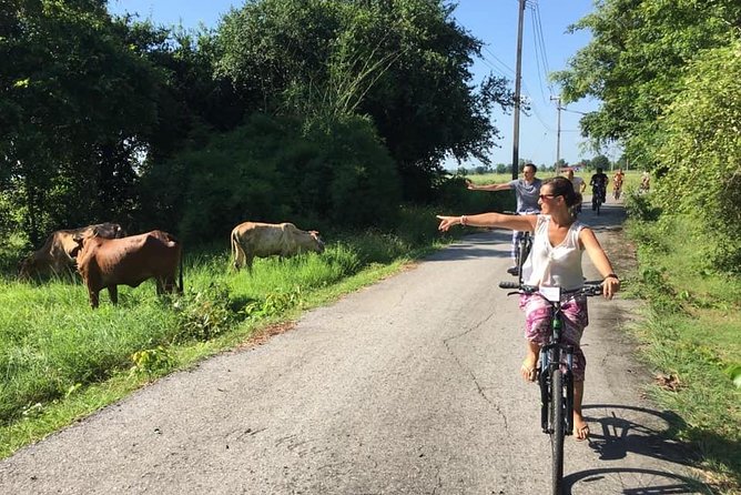 Full Day Cycling tour to Sukhothai Historical Park - Lunch, snacks, and the value of the $53.78 price