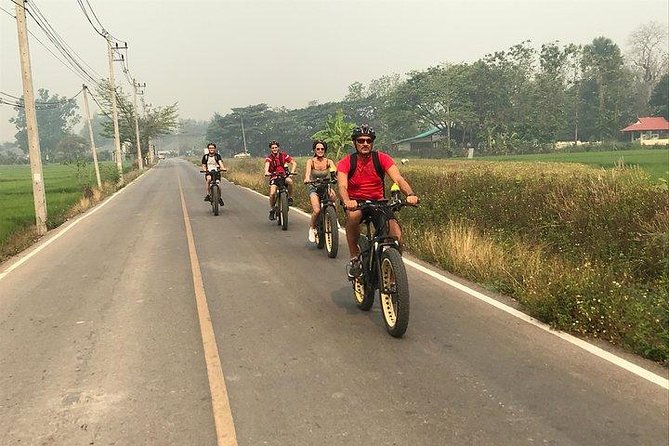 Full-day E-bike Countryside and Nam Phrae (flat-hilly, GUIDED) - Who will enjoy this tour most