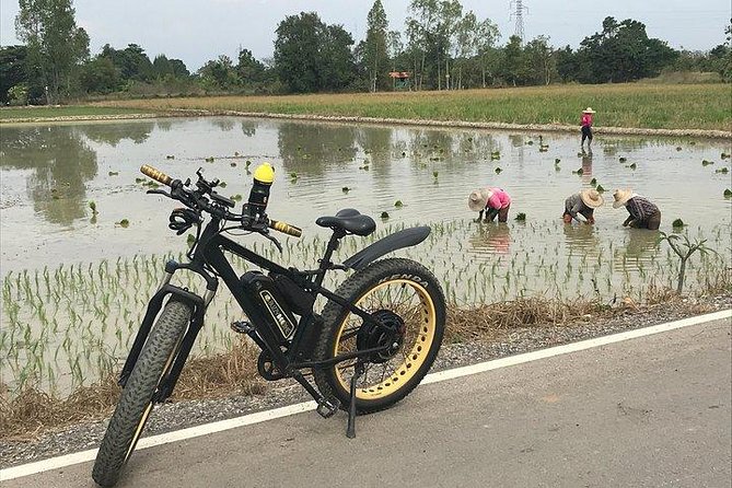 Full-day E-bike Countryside and Nam Phrae (flat-hilly, GUIDED) - Wat Ton Kwen sets the tone