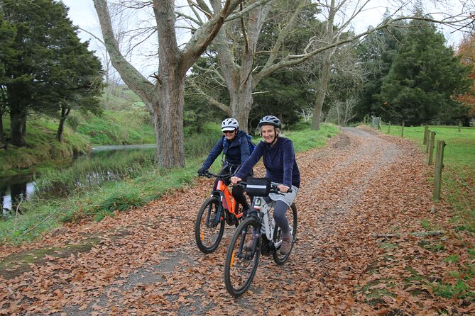 Full Day Ebike Tour in Karangahake Gorge (ex Auckland) - Why Karangahake Gorge makes a fine bike day