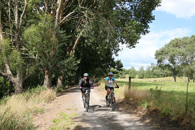 Full Day Ebike Tour in Karangahake Gorge (ex Auckland) - Waikino: gold machinery and an underground kiln