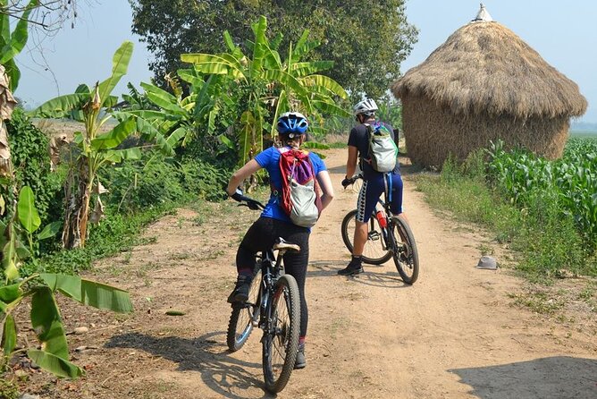 Full-Day Hike and Bike Tour from Chiang Mai - Why Mae Sa Valley makes a better day out than another city tour